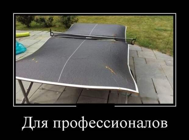 Демотиваторы (30 фото)