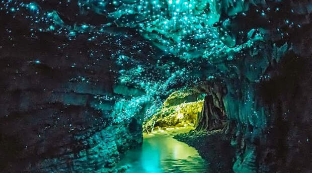 Пещеры Вайтомо достопримечательности, мир, природа, фото