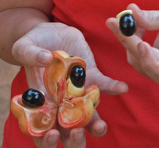 304