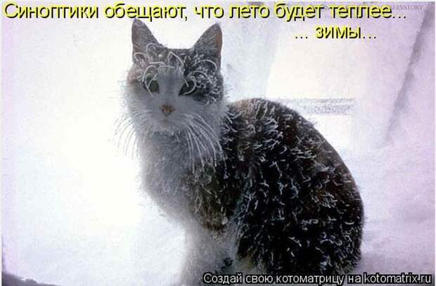 Мысли вслух :)