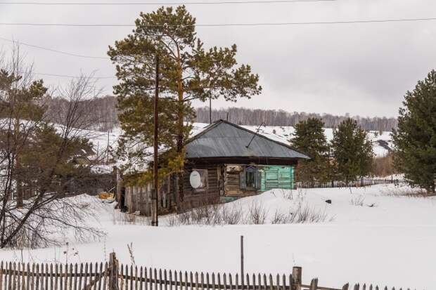 Пострадавшие от пастереллёза семьи получили уже 57 млн в Новосибирской области