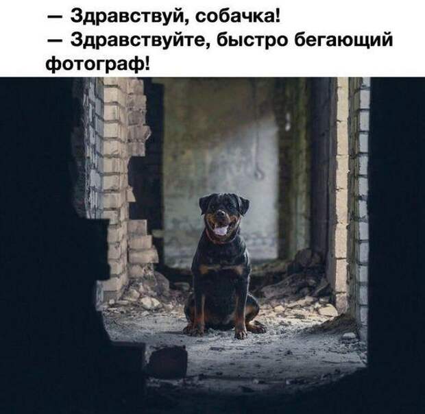 Очень прикольные картинки