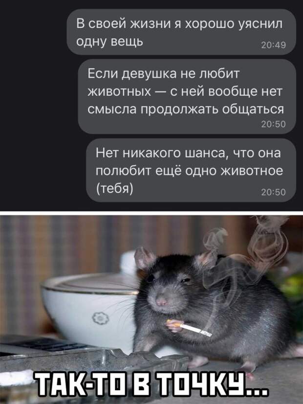 Смешные картинки 25 марта 2021 года