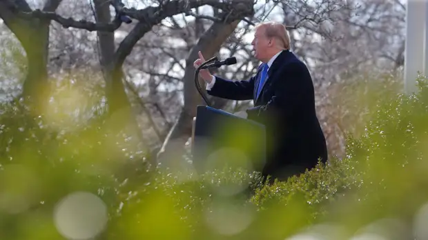 Эксперт оценил расследование в США по факту введения Трампом режима ЧП