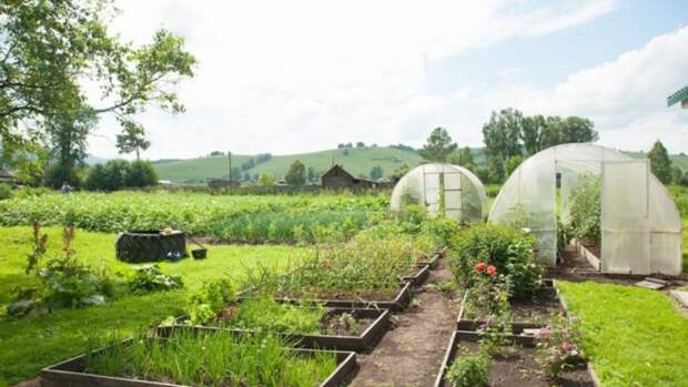 Эксперт рассказал дачникам, как продлить срок службы деревянных построек