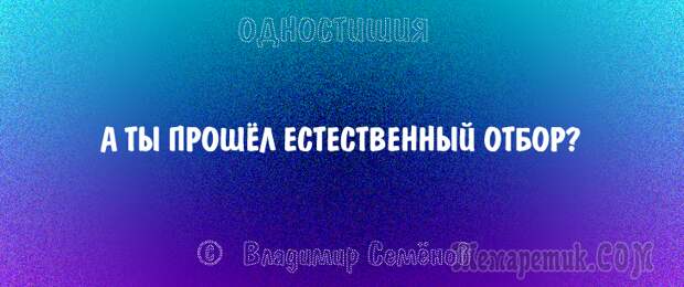 Одностишия, подтверждающие, что краткость – сестра таланта