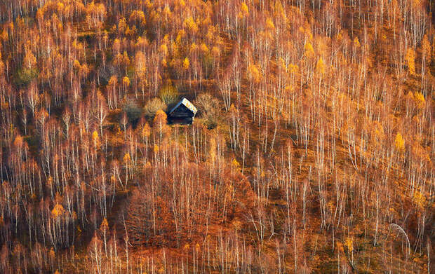 Cabin In The Woods