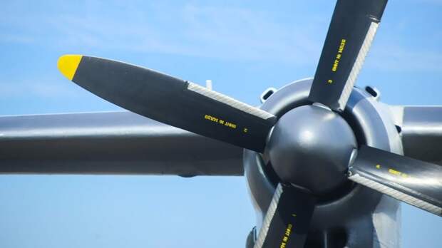 Врач из Ярового спасла пассажира на борту самолета Москва — Новосибирск