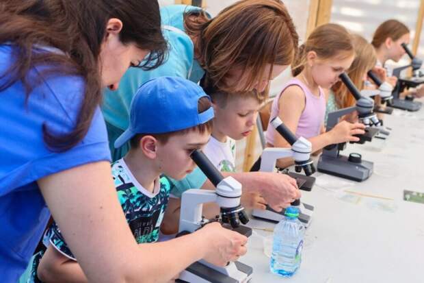 Названа средняя стоимость отдыха детей в летних лагерях