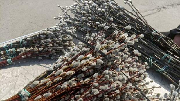 Как праздновать Вербное воскресенье и что можно есть в этот день?