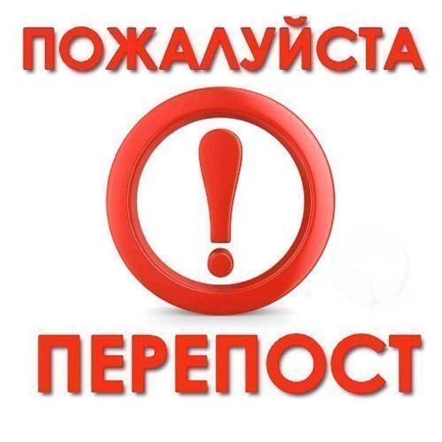 Эти котята сейчас погибают на улице. Просим вас, отзовитесь, помогите! Нужна любая помощь!
