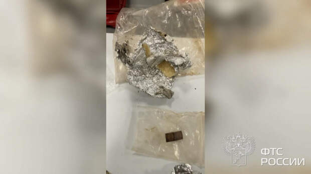 Россиянина задержали с крупной партией наркотиков из Индии