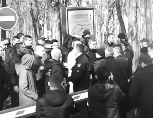 Массовые столкновения произошли на могиле Тараса Шевченко на Украине