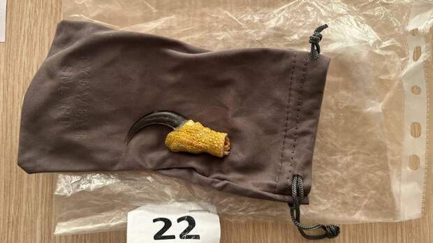 В российском аэропорту в ручной клади иностранца нашли части тел редких животных