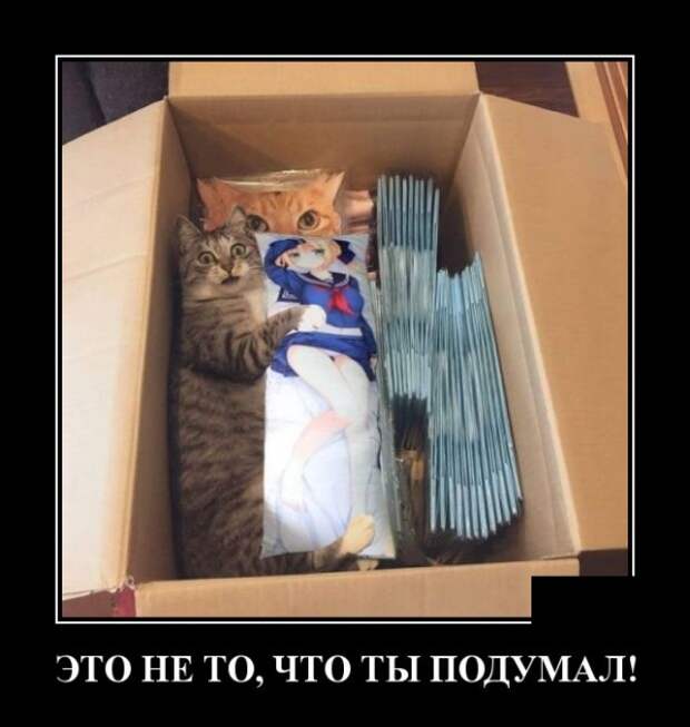 Демотиваторы (30 фото)