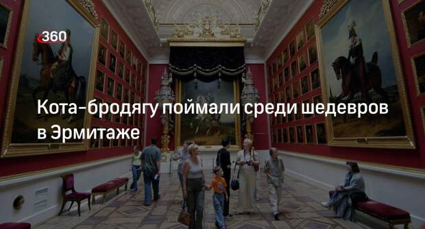 Живущего в воздуховоде помещений Эрмитажа кота поймали спустя три дня