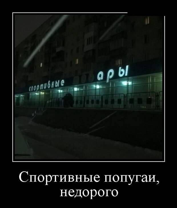 Демотиваторы (30 фото)