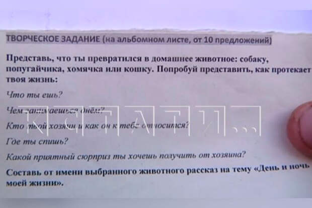 В Арзамасе родители детей возмутились заданием написать эссе от имени животного