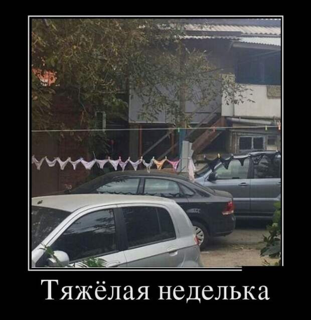 Демотиваторы (30 фото)