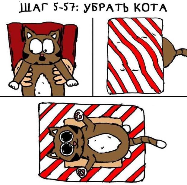 лайфхак с котом