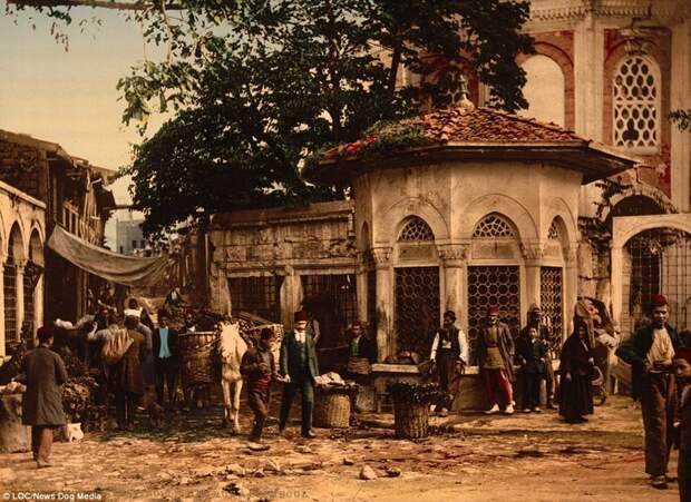 Просто оживленная улочка Константинополя  Константинополь, османская империя, старые фотографии, фото в цвете, фотохром