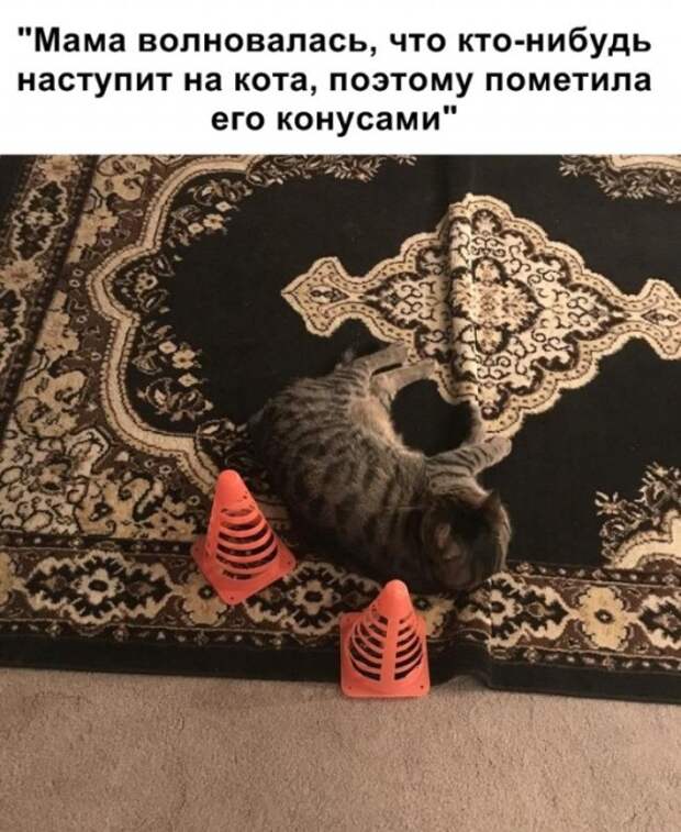Легкий и непринужденный юмор в картинках Легкий и непринужденный юмор в картинках