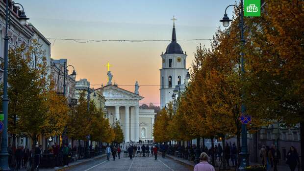 В Литве могут ввести продуктовые карточки