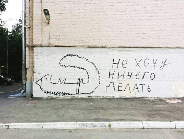 Приколы Приколы