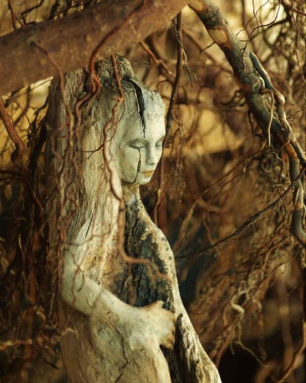 Скульптуры Дебры Бернье из высохших деревьев (17 фото)