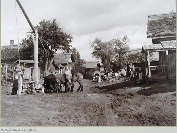 Немецкие фотографии русской деревни 1942-1943 гг. Фотограф Асимус Реммер война, классики фотографии, россия