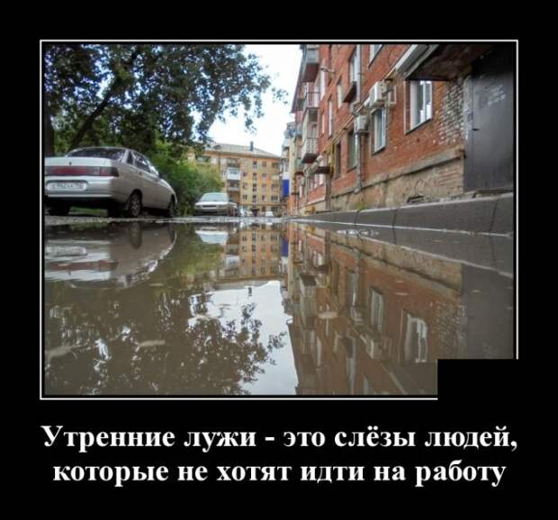 Демотиваторы (30 фото)