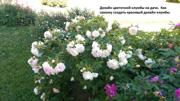Клумба своими руками
