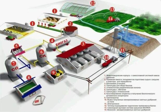 Биогаз из биомасс. Биогаз из биомасс