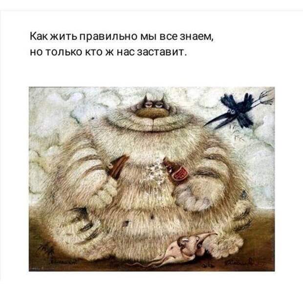 Самые смешные свежие мемы (вторник)