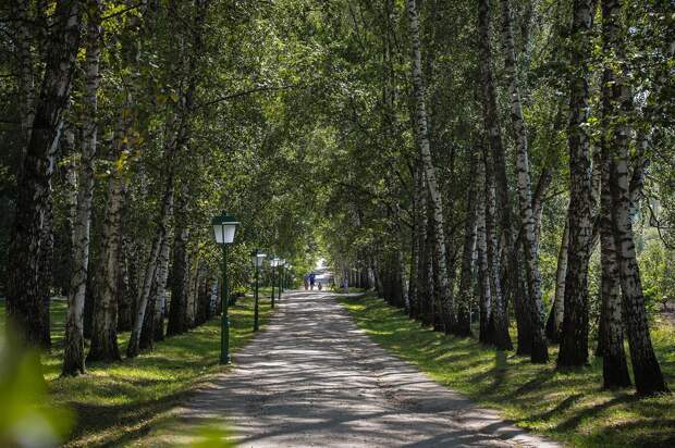 Фото: пресс-служба музея-усадьбы «Ясная Поляна»
