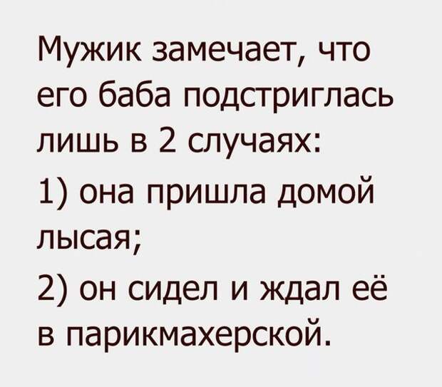 Картинки с надписями мем, прикол, юмор