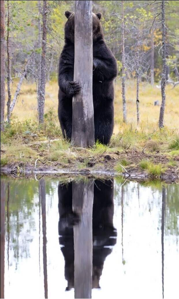 19.