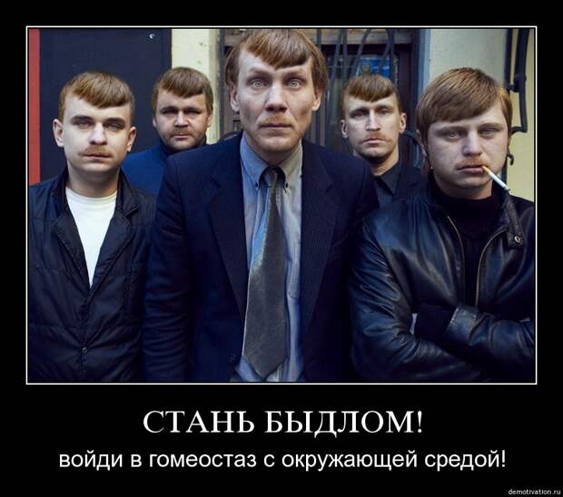 http://s3.uploads.ru/jKF3i.jpg