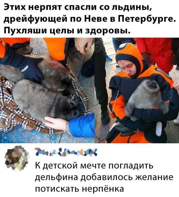 www.vsyako.net