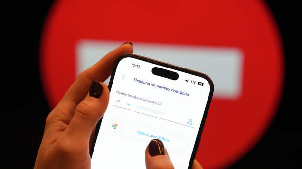 Россиянам посоветовали писать комментарии к крупным переводам денег