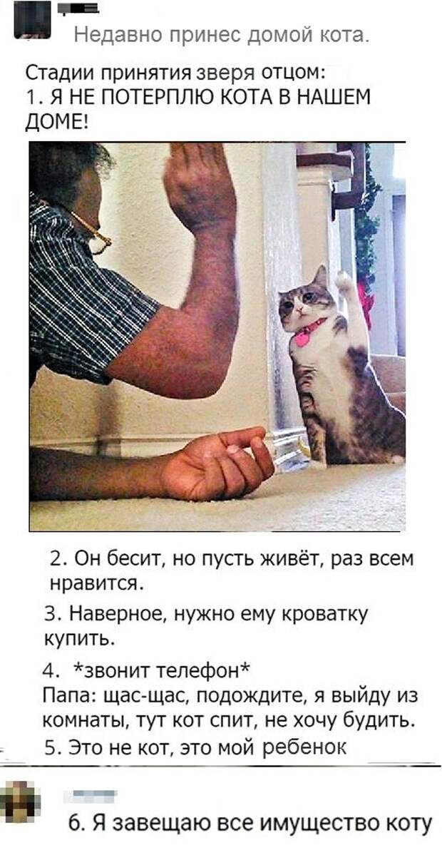 Юмор, юмор, юмор... Юмор, юмор, юмор...