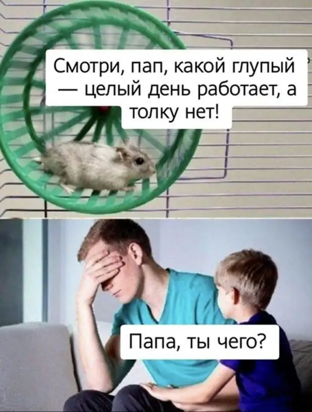 Нет он глупый. Про человеческую тупость афоризмы. Интеллектуальный юмор в картинках. Афоризмы про глупых людей. Нет он глупый.