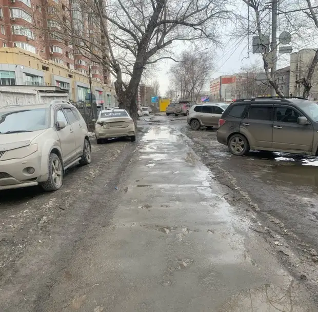 НГС раскрыл причину пыли — Новосибирск атаковали толпы истребителей газонов (смотрите где)