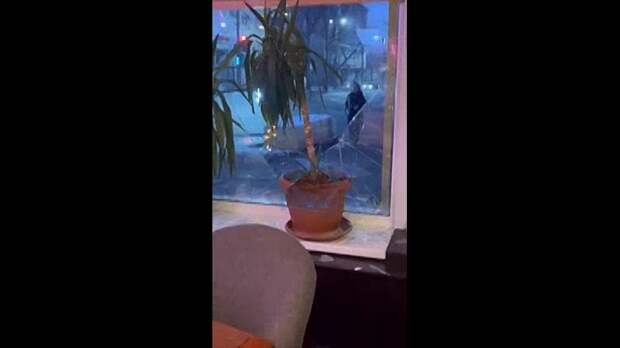 Video: video (9).mp4