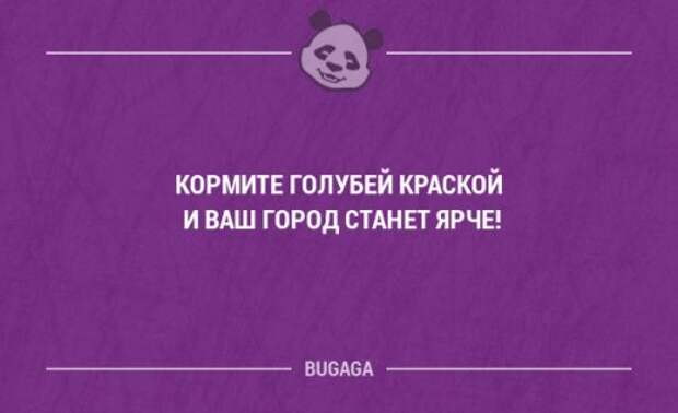Прикольные фразы в картинках с надписями. Часть 78 (17 шт)