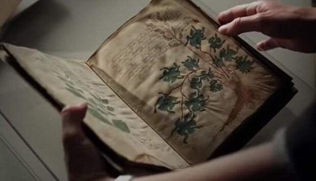 6 интригующих тайн мировой истории, которые до сих пор будоражат умы учёных