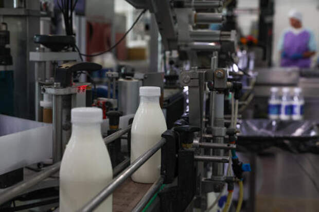 Кубанский маслосырзавод производил и продавал продукты, скрывая истинный их состав