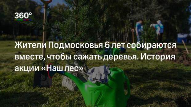 Жители Подмосковья 6 лет собираются вместе, чтобы сажать деревья. История акции «Наш лес»