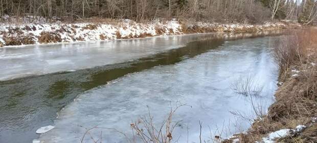 Тело рыбака обнаружили водолазы в реке Лоза в Игринском районе 