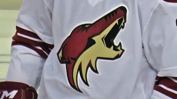 Две передачи Капризова не помогли «Миннесоте» в матче с «Аризоной» в НХЛ